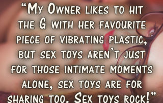 Sex toys rock