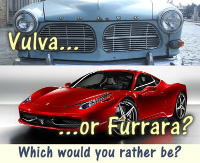 Vulva or Furrara?